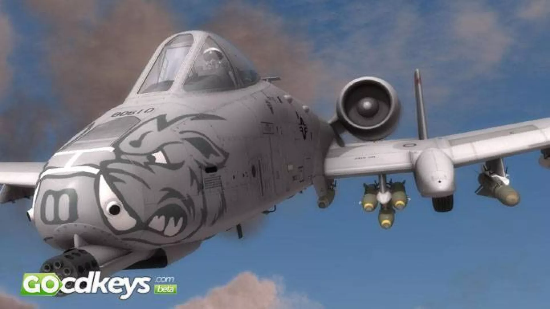 A10C Warthog  cover
