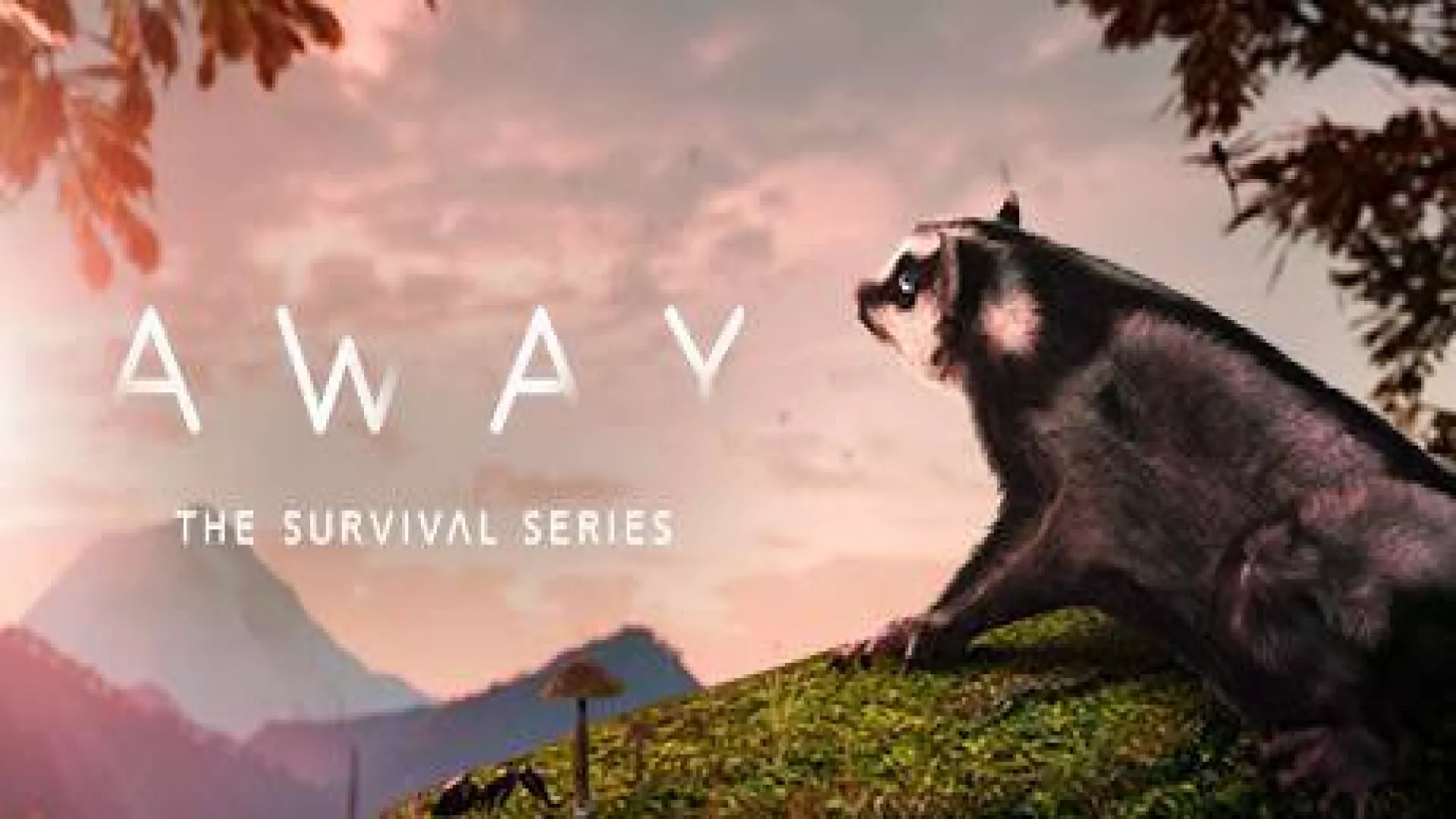 AWAY The Survival Series cover