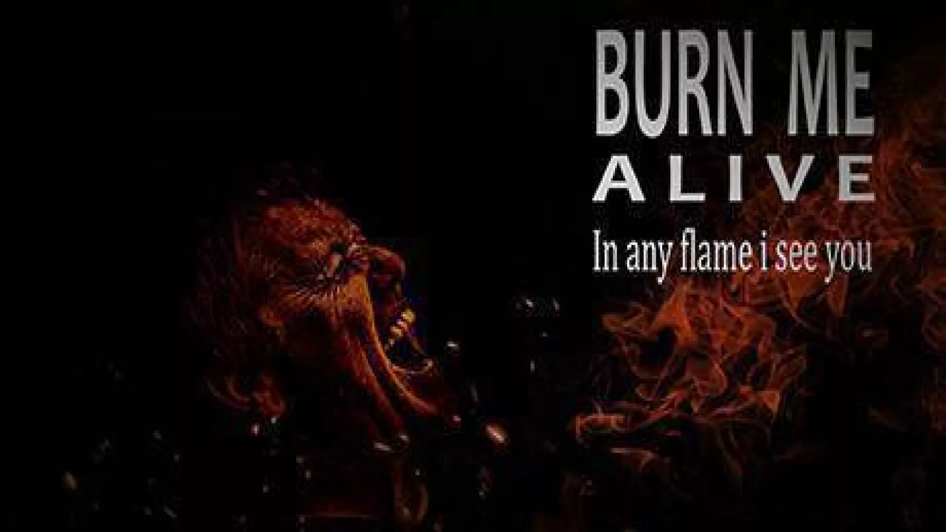 Burn Me Alive cover