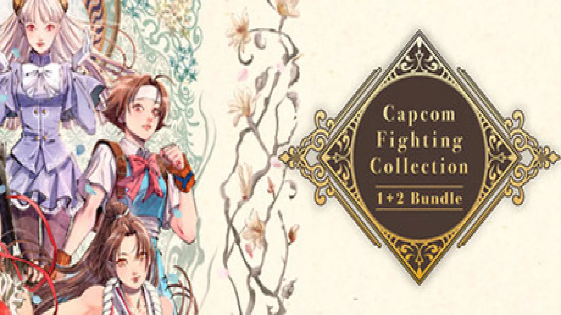 Capcom Fighting Collection 1 and 2 cover