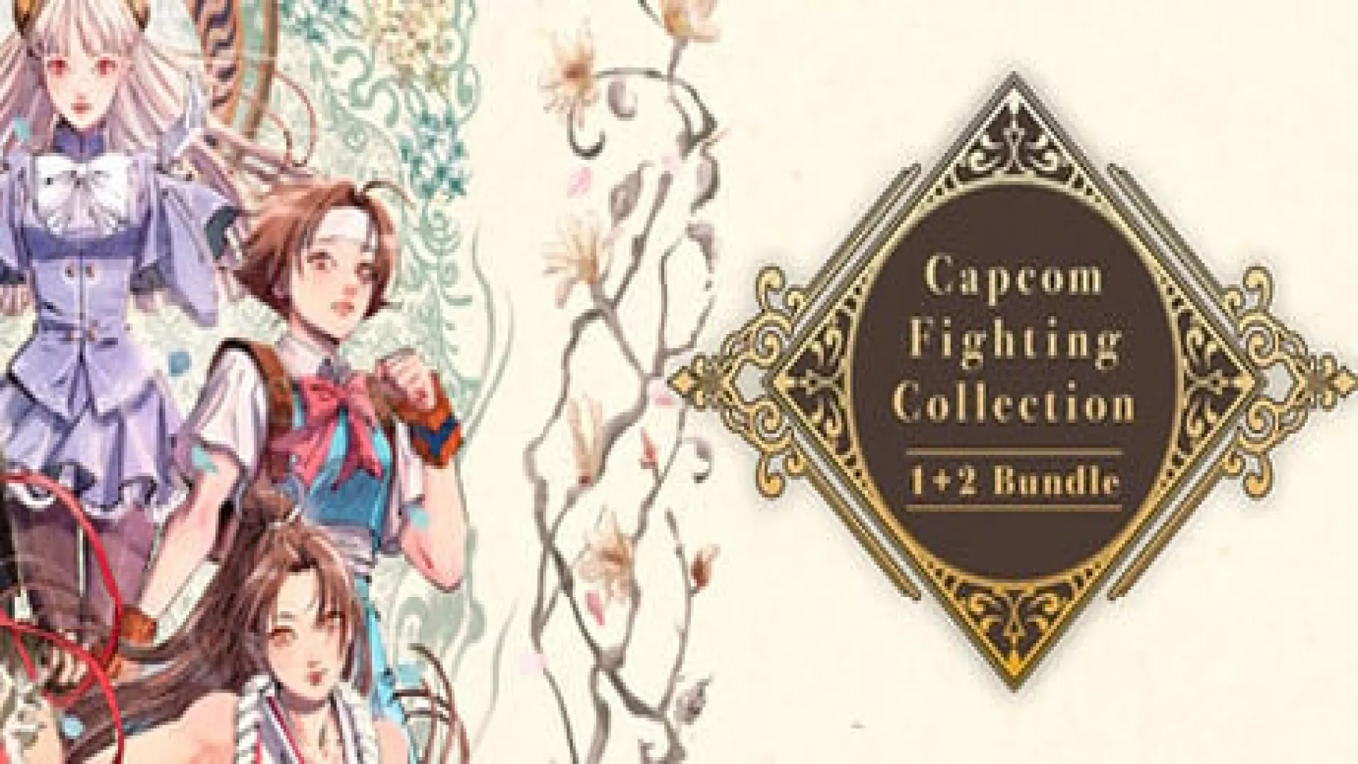 Capcom Fighting Collection 1 and 2 cover