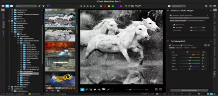 Corel AfterShot Pro 3