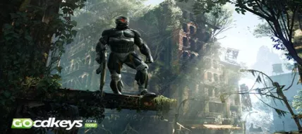 Crysis 3 