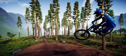 Descenders