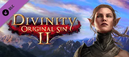 Divinity: Original Sin 2