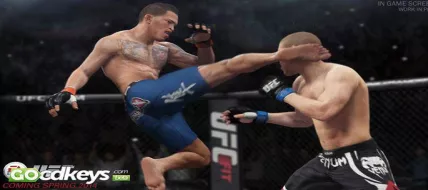 EA Sports UFC