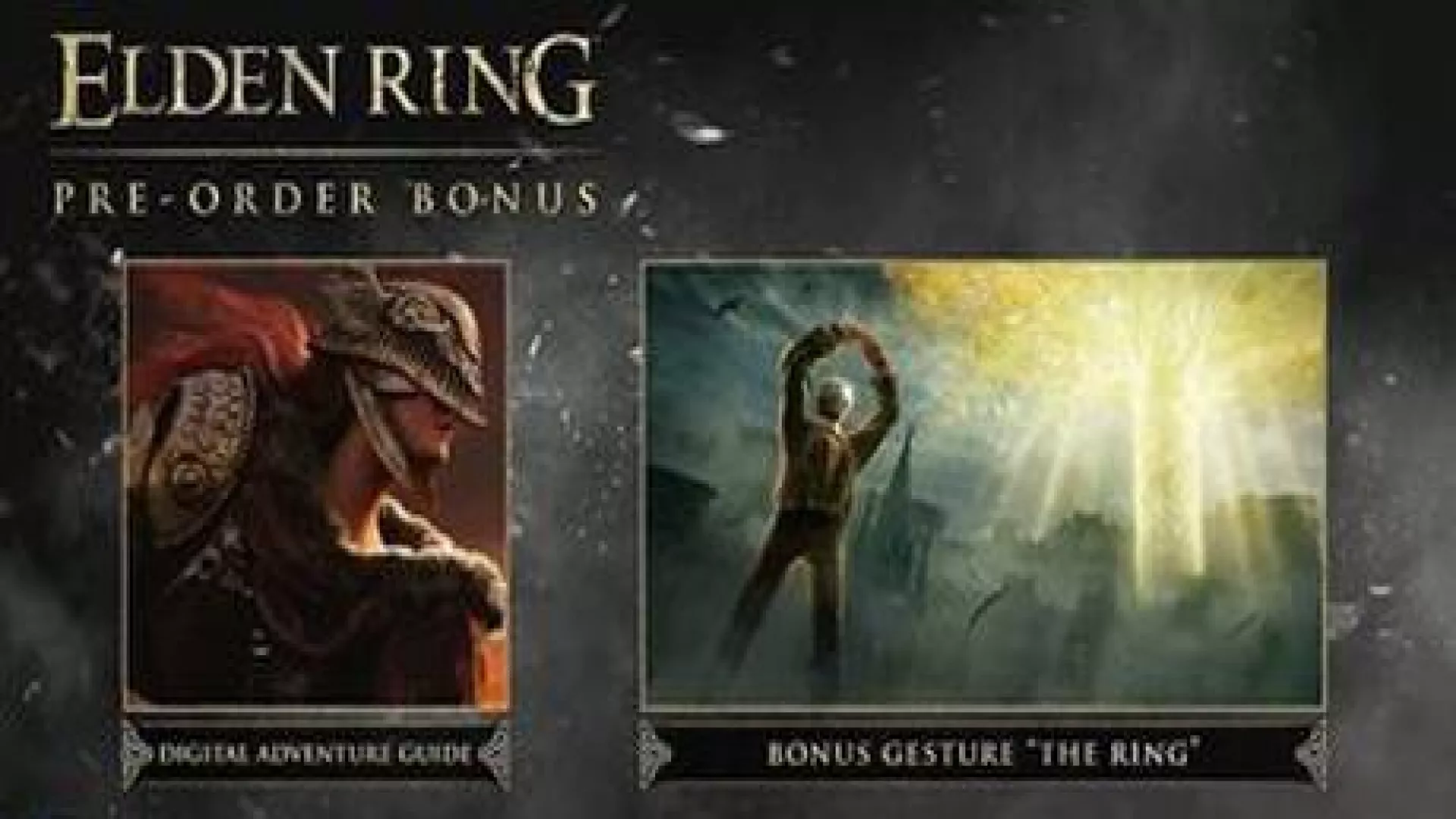 Elden Ring PreOrder Bonus cover