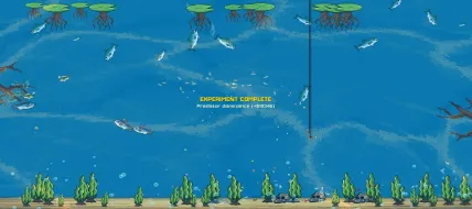 FishPond