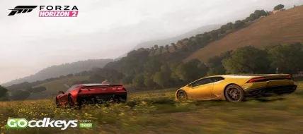 Forza Horizon 2