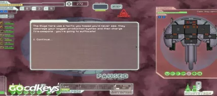 FTL: Faster Than Light 