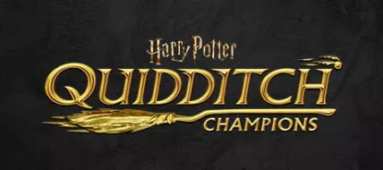 Harry Potter Quidditch Champions