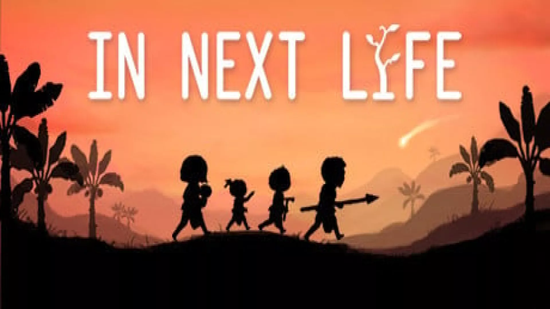 In Next Life cover