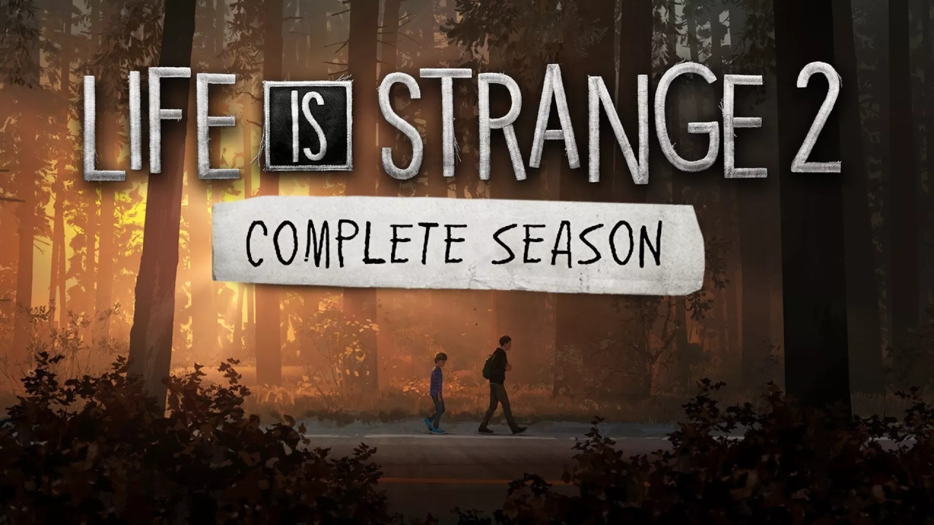 Life is Strange 2 Season cover
