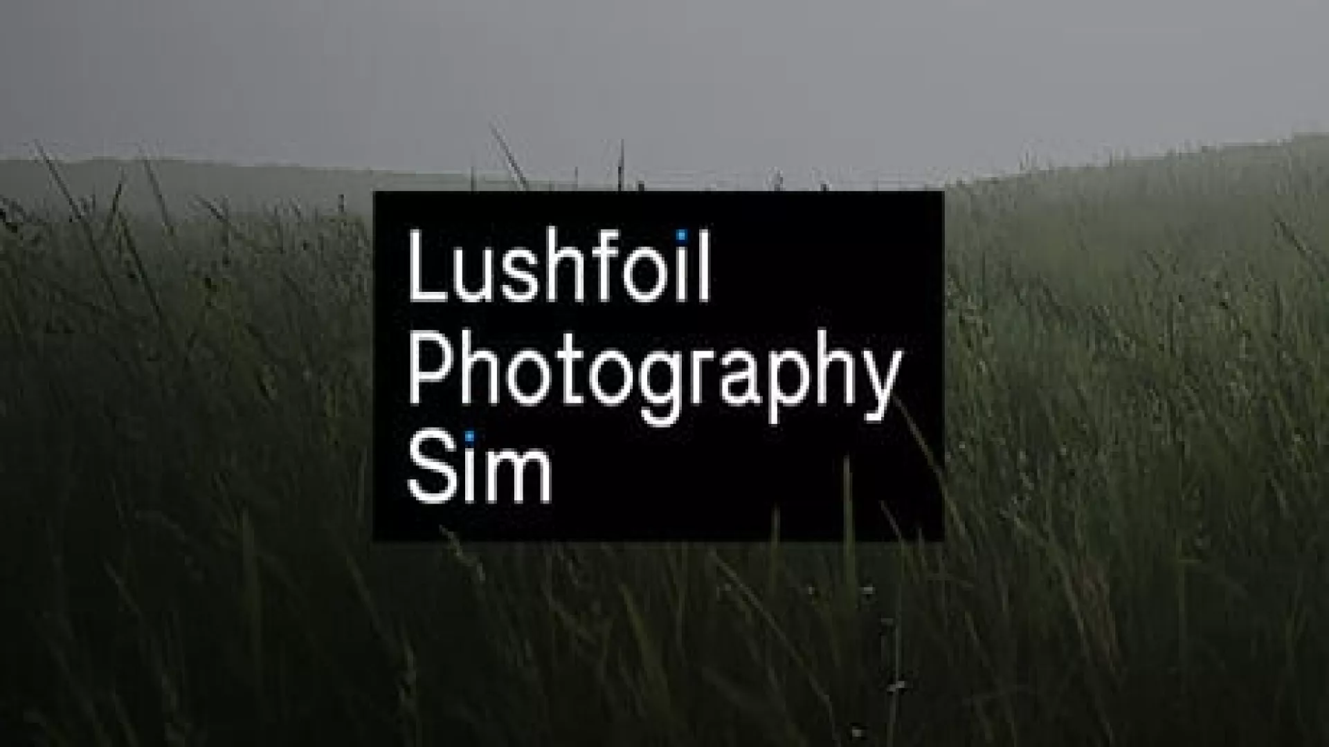 Lushfoil Photography Sim cover