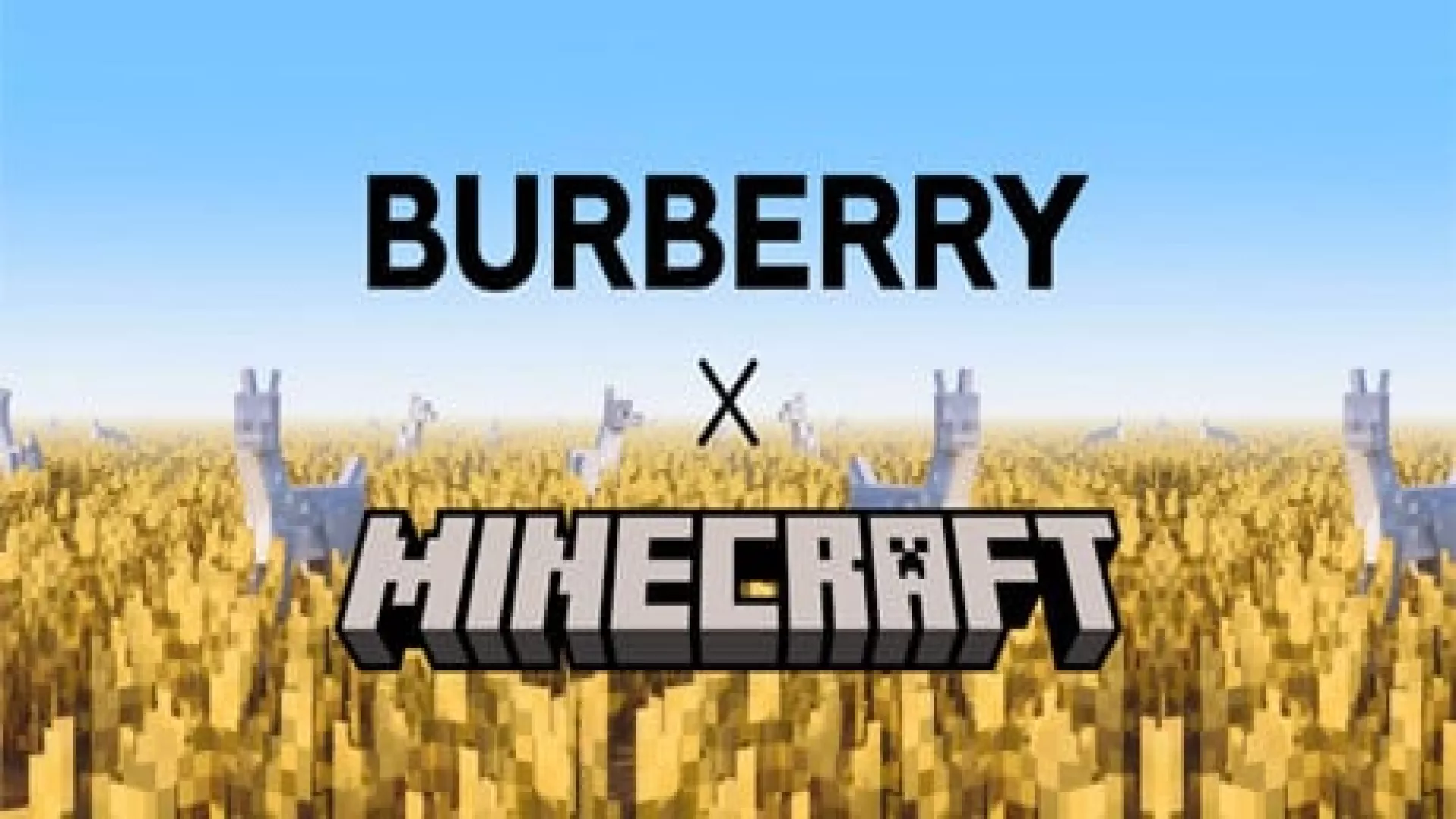 Minecraft Burberry Set cover