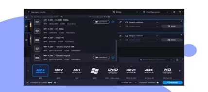 Movavi Video Converter Premium 2021