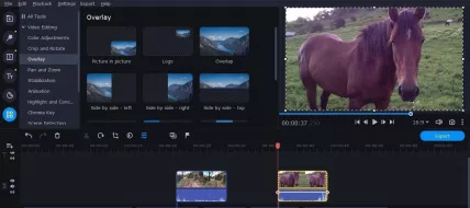 Movavi Video Editor Plus 2021