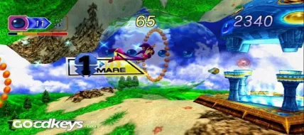 Nights into dreams 