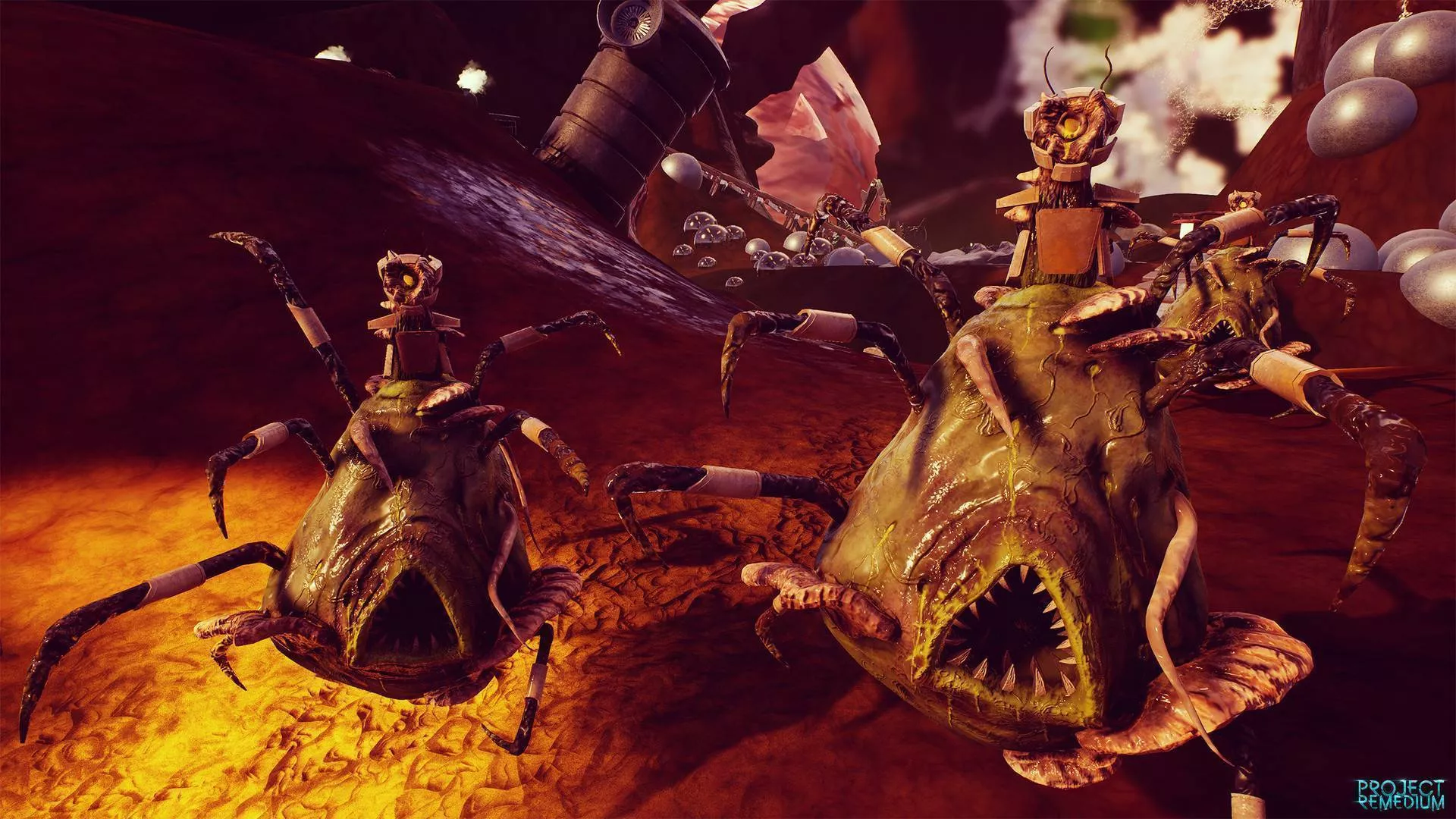 Project Remedium cover