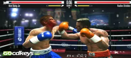 Real Boxing 