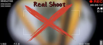 Real Shoot Bodycam PVE