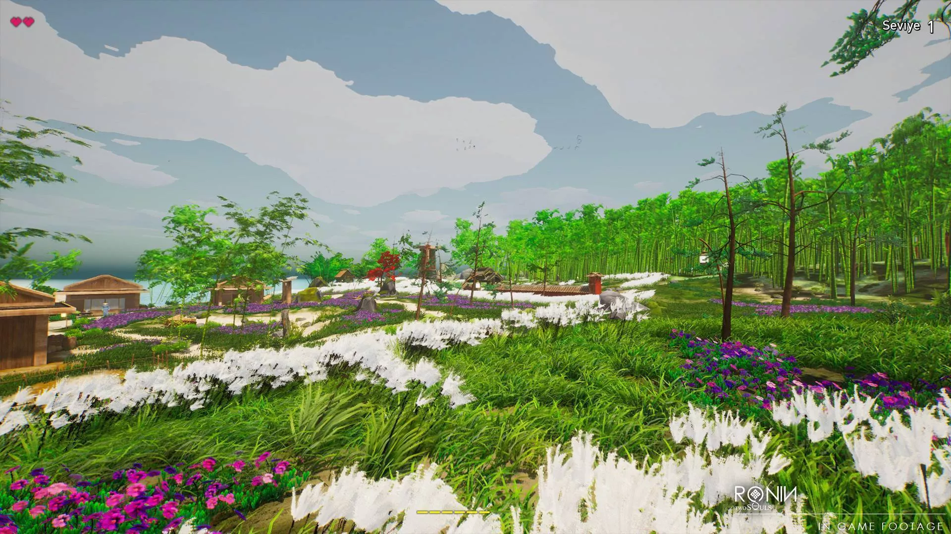 Ronin Two Souls cover