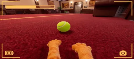 Strays POV Tales
