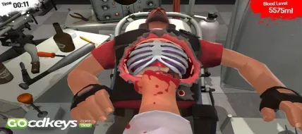 Surgeon Simulator 2013 