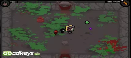 The Binding of Isaac Unholy Edition + Wrath of Lamb 