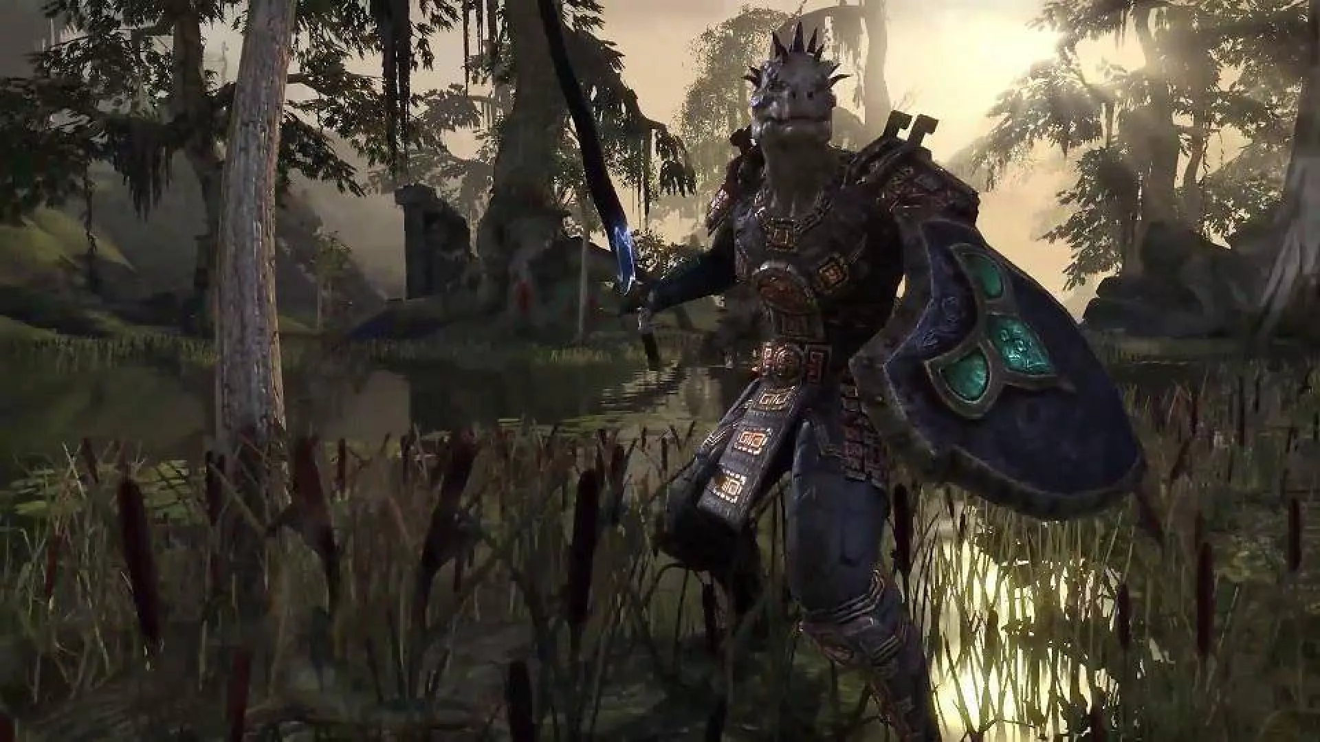 Elder Scrolls Online Explorers Pack & Skyrim DLC Code Bundle - Playstation 4