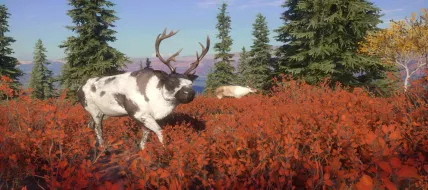 theHunter: Call of the Wild Yukon Valley