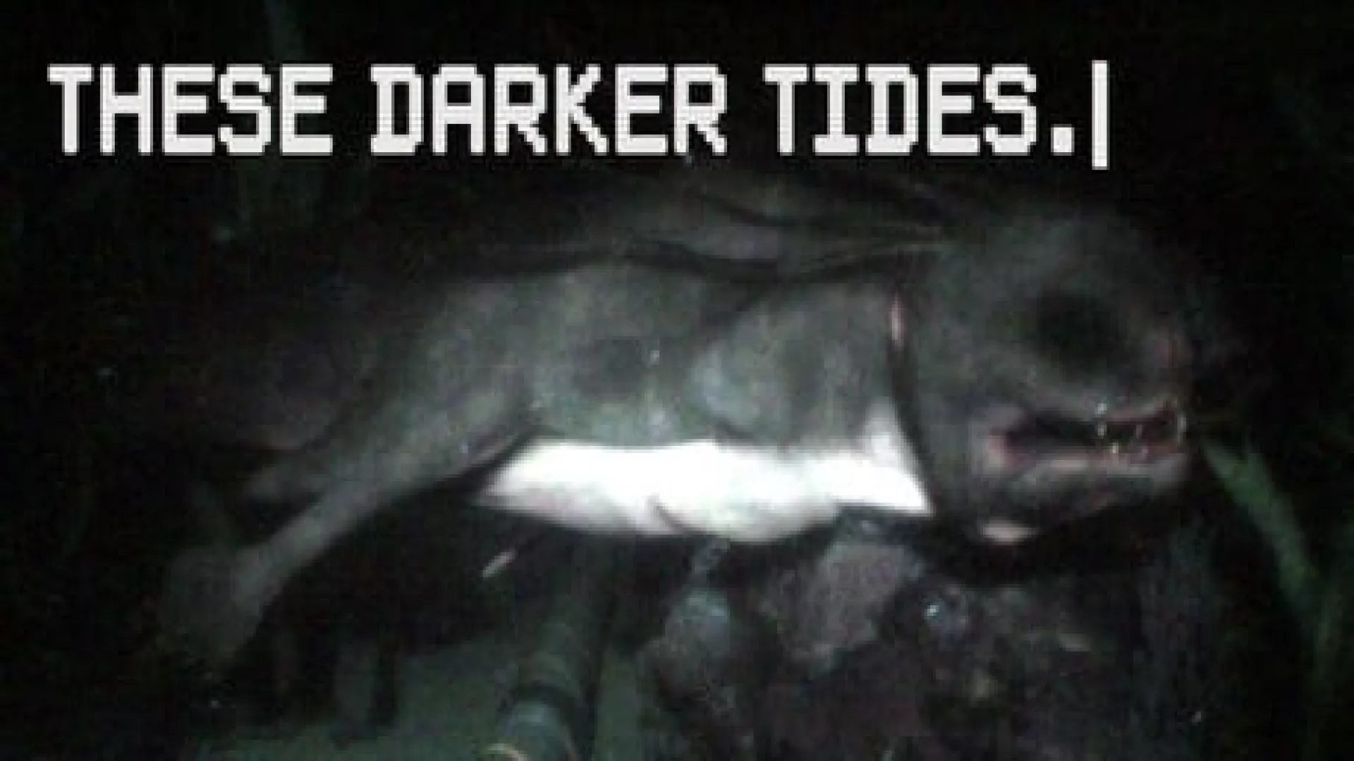 These Darker Tides cover