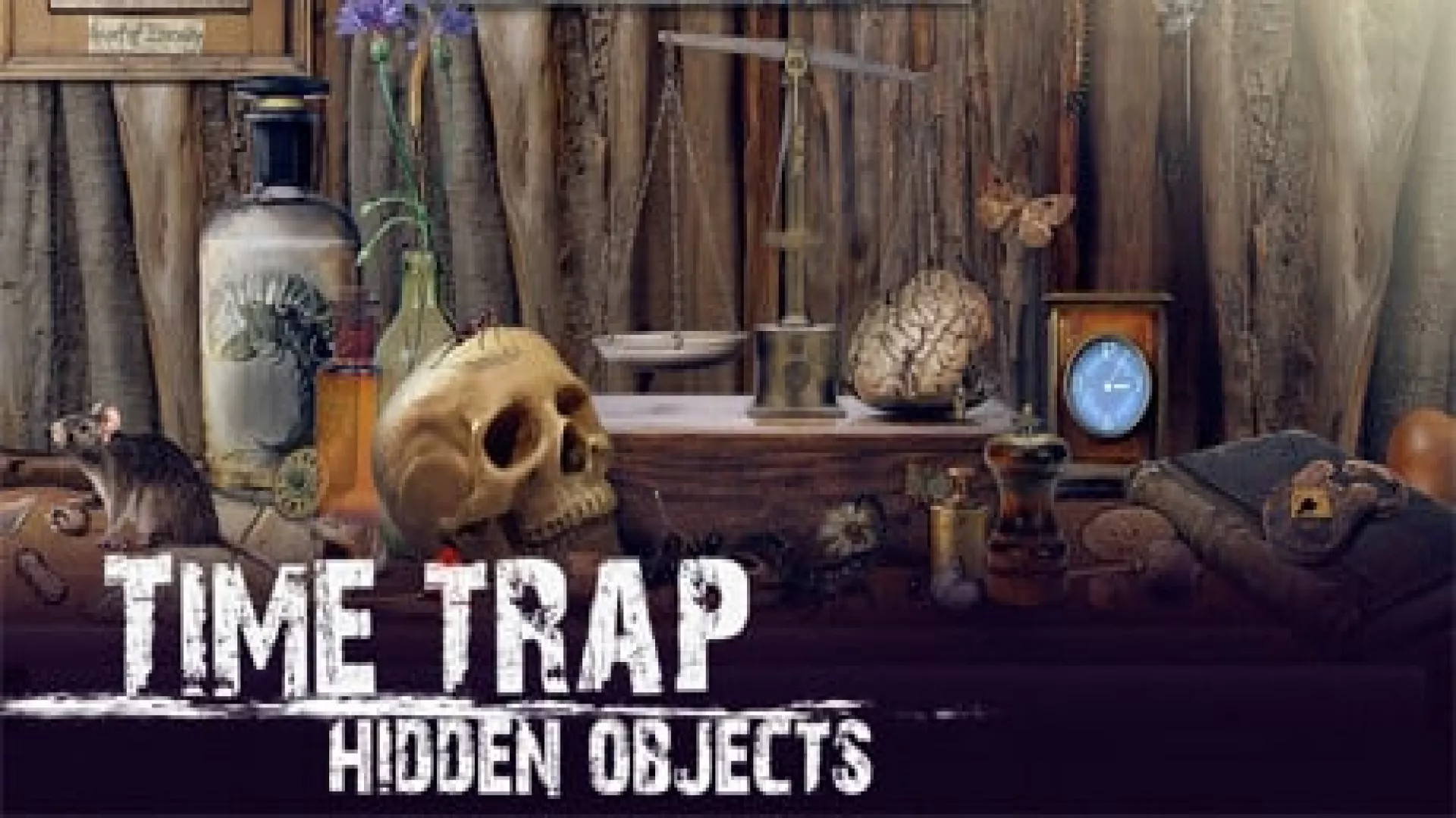Time Trap Hidden Objects cover