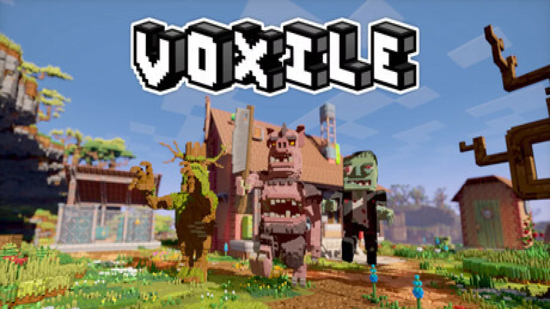 Voxile cover