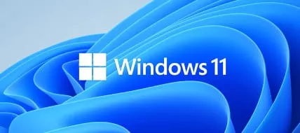 Windows 11