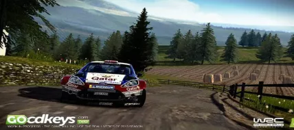 WRC 4 FIA World Rally Championship 