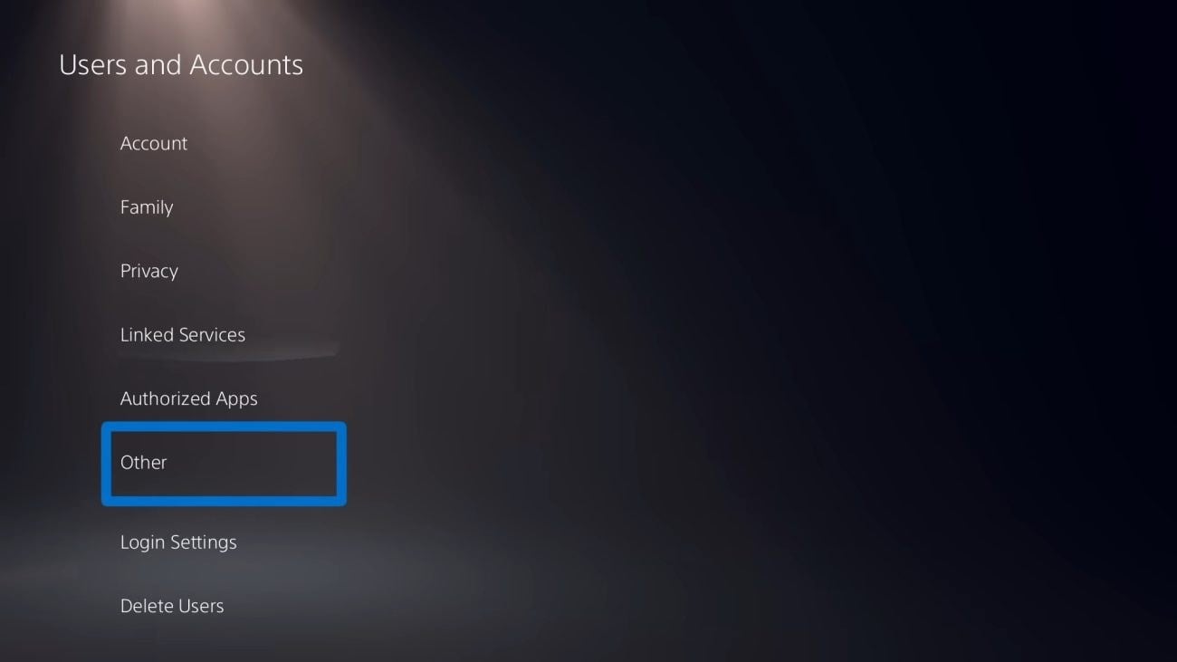 Users and Accounts section with Other highlighted