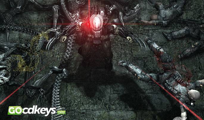 Buy Aliens vs. Predator Steam PC Key 