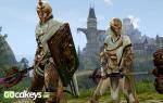 archeage-silver-founders-pack-pc-cd-key-4.jpg