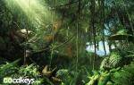 far-cry-3-the-lost-expeditions-edition-pc-cd-key-2.jpg