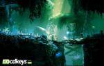 ori-and-the-blind-forest-pc-cd-key-2.jpg
