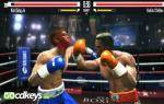 real-boxing-pc-cd-key-1.jpg