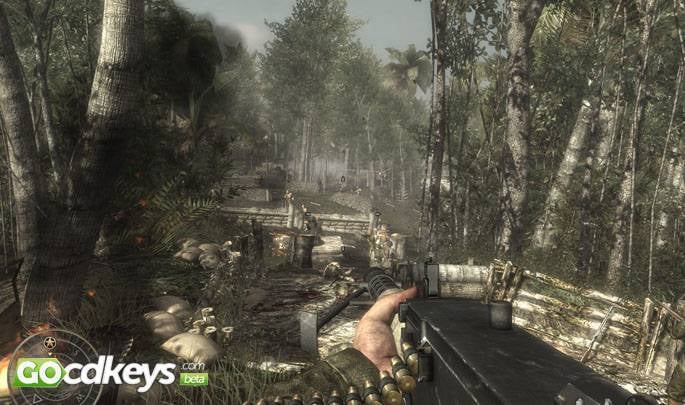 call of duty world of war pc