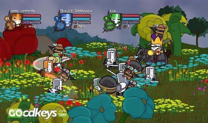 how to get castle crashers for pc