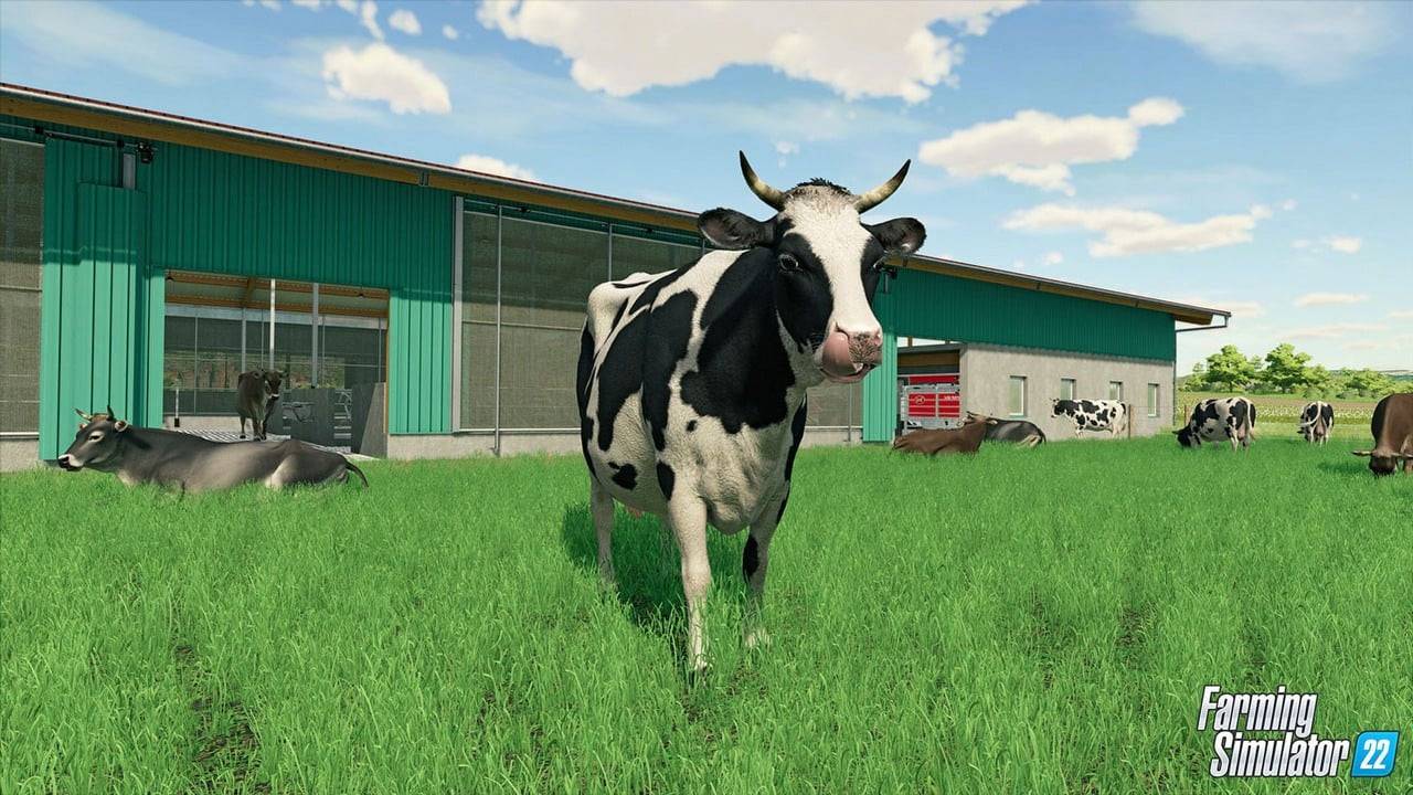 Ranch Simulator Steam CD Key