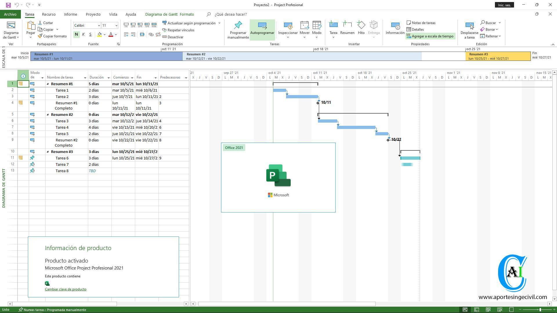 what is microsoft project professional