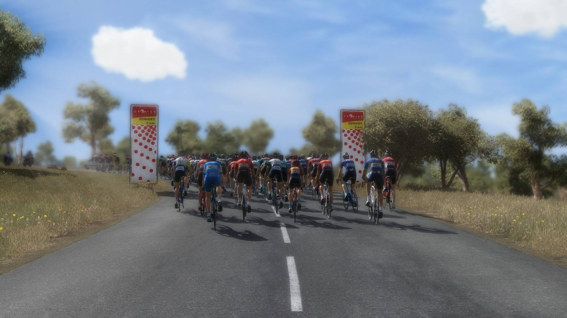 Buy Pro Cycling Manager 2023 PC Game Steam Key