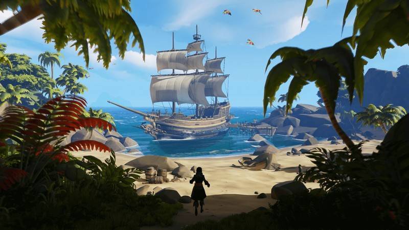 where do buy sea of thieves pc