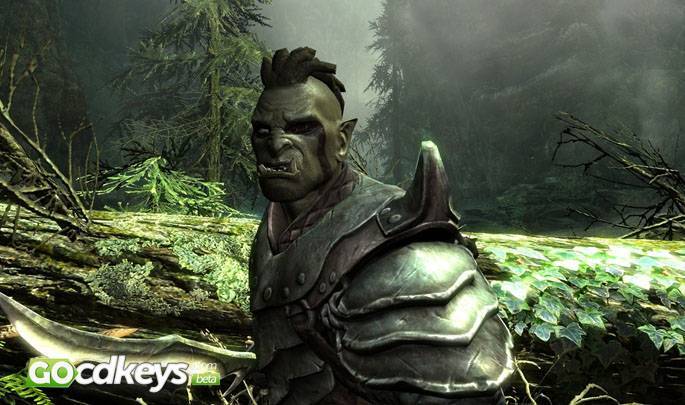 Buy The Elder Scrolls V: Skyrim Steam