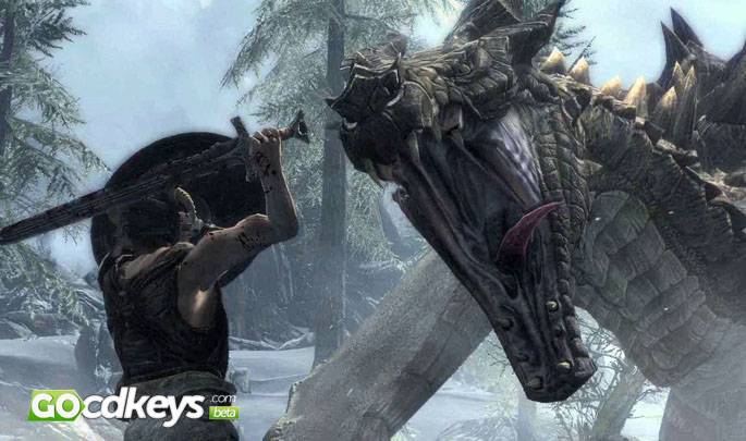 skyrim pc game key